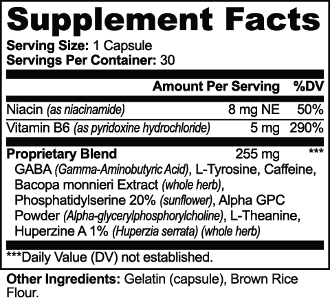 Alpha GPC & L-Theanine: Natural Cognitive Support