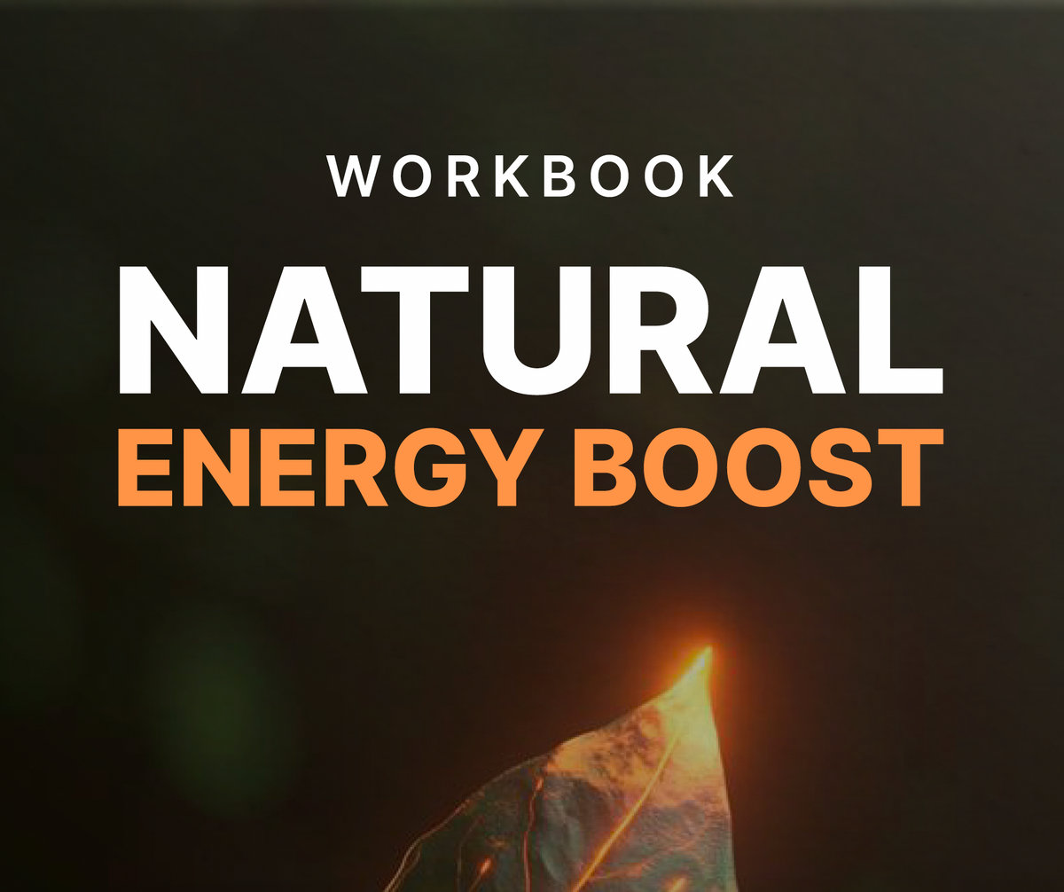 Natural Energy Boost Workbook PDF