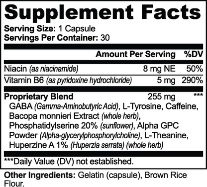 Alpha GPC & L-Theanine: Natural Cognitive Support