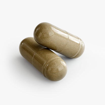 Ginkgo Biloba + Ginseng Nootropic