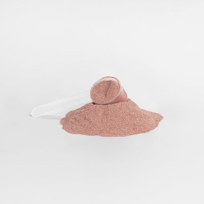 Red Reign Superfood Daily Defense: Shilajit, Beets, Acai & Probiotics