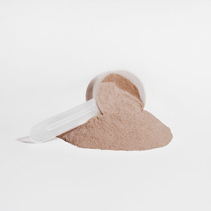 Plant Protein: Chocolate Lava