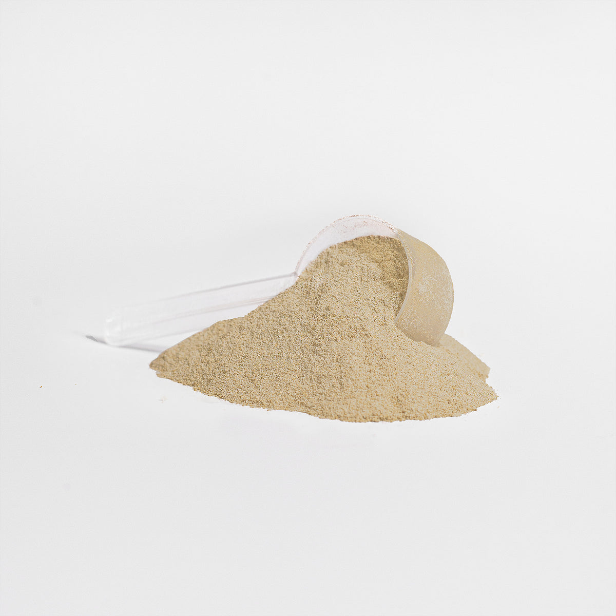 100% Plant Protein: Vanilla Bean
